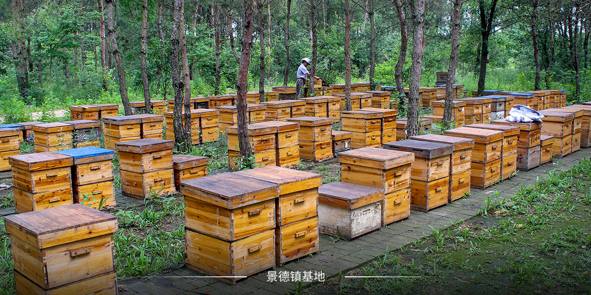 景德鎮基地